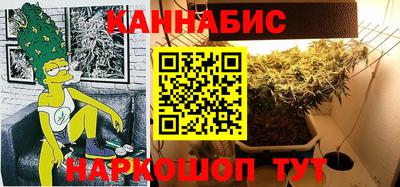 Альфа ПВП Моздок