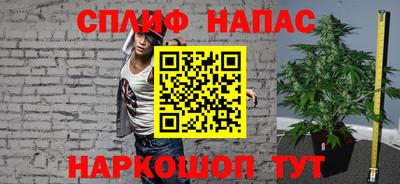 Альфа ПВП Моздок