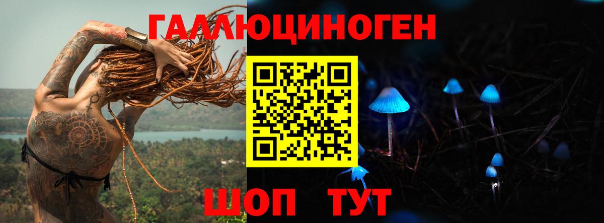 Унеча  Псилоцибиновые грибы GOLDEN TEACHER  Вход с VPN 